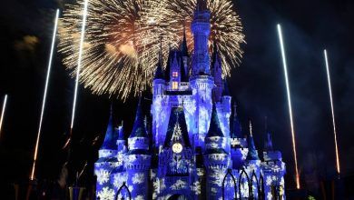 Foto de Walt Disney World anuncia dois novos espetáculos noturnos em 2017