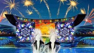 Foto de Summer Nights e Islands Nights 2015. Veja a programação!