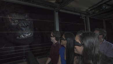 Foto de “Skull Island: Reign of Kong” já está a todo vapor no Universal Orlando Resort