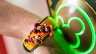 Foto de MagicBand