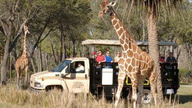 Foto de Dicas de fastpass+ no Disney´s Animal Kingdom
