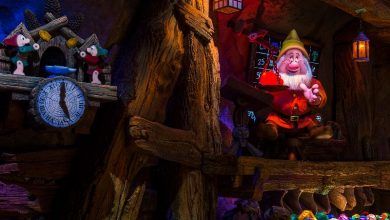 Foto de Dicas de fastpass+ no Magic Kingdom