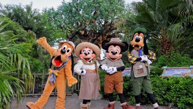 Foto de Disney´s Animal Kingdom
