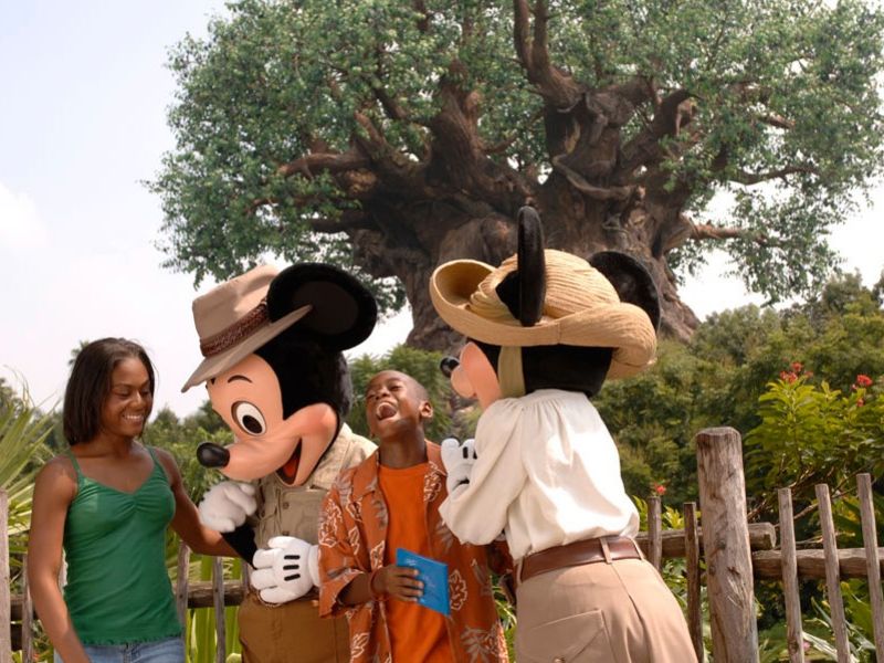Árvore Animal Kingdom
