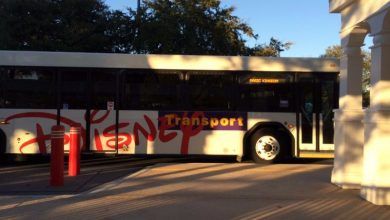 Foto de Transporte Disney
