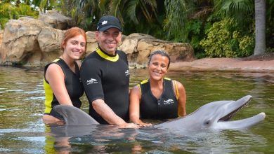 Foto de Leandro Hassum curte o dia com a família no Discovery Cove