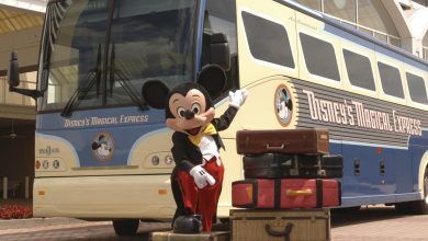 Foto de Transporte Disney do aeroporto para o hotel