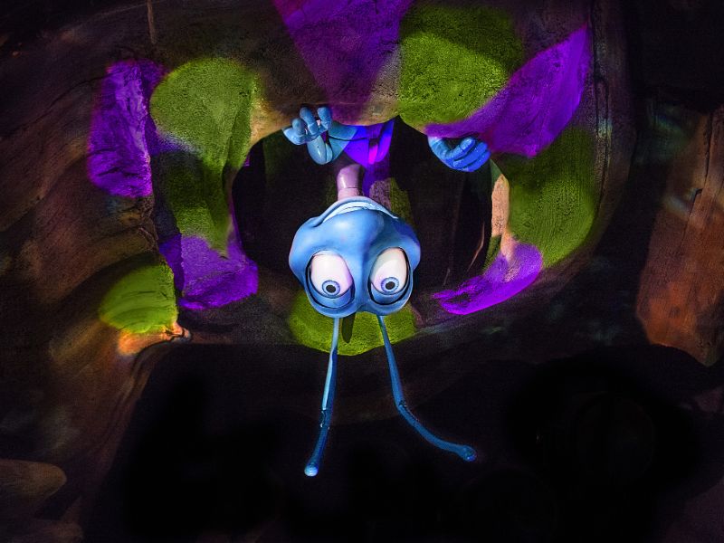 It’s Tough to be a Bug!