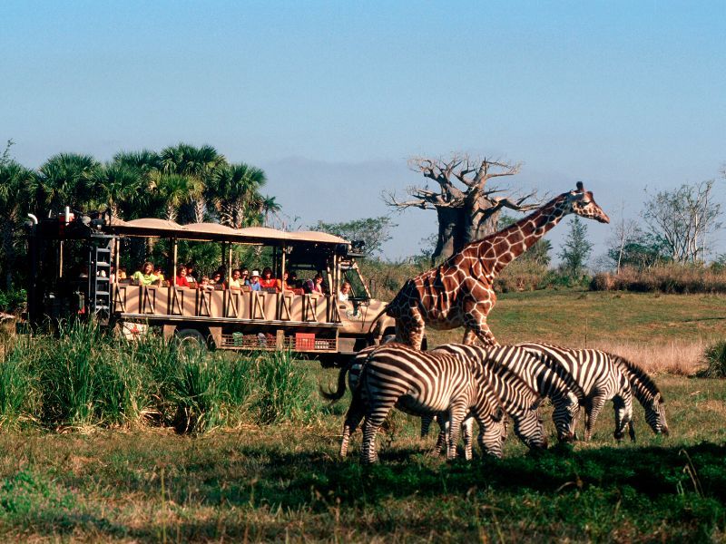 Kilimanjaro Safaris