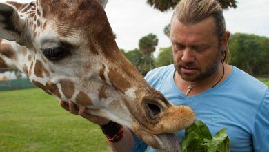 Foto de Richard Rasmussen estreia série inédita sobre parques do grupo SeaWorld