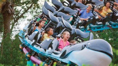 Foto de Altura mínima das atrações no SeaWorld Orlando