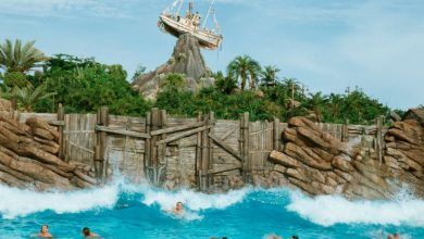 Foto de Disney’s Typhoon Lagoon – Mapas 2018