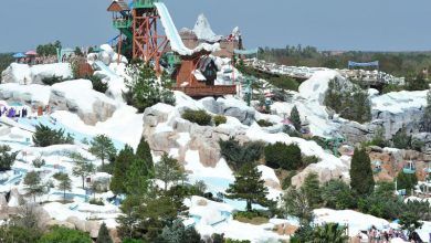 Foto de Disney´s Blizzard Beach