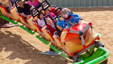 Foto de Altura mínima atrações Busch Gardens, saiba para participar
