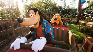 Foto de Altura mínima das atrações no Magic Kingdom
