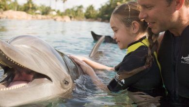 Foto de Discovery Cove
