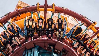 Foto de Busch Gardens Tampa