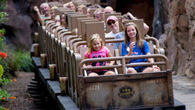 Foto de Altura mínima das atrações do Animal Kingdom