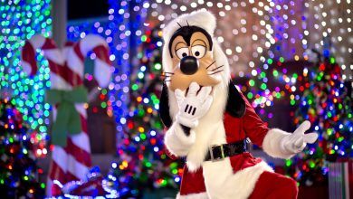 Foto de Encontro com o Papai Noel no Hollywood Studios