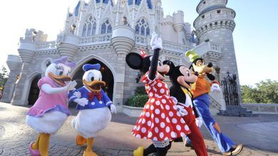 Foto de Ingresso com desconto na Disney
