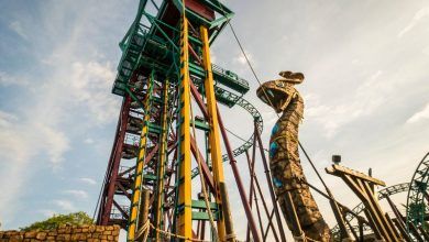 Foto de Busch Gardens Tampa Bay ganha prêmio global da indústria de diversão