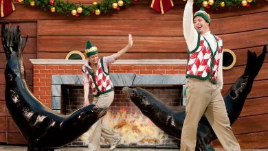 Foto de Eventos de Natal do SeaWorld Orlando e Busch Gardens Tampa 2016