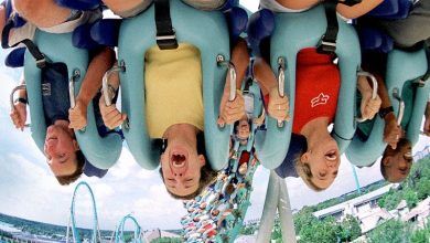 Foto de Novidades no SeaWorld Orlando