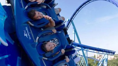 Foto de Roteiro SeaWorld Orlando