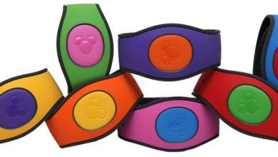 Foto de MagicBand2
