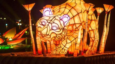 Foto de Guia sobre o Rivers of Light