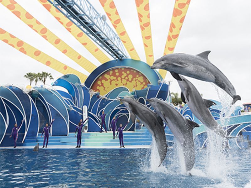 SeaWorld Orlando