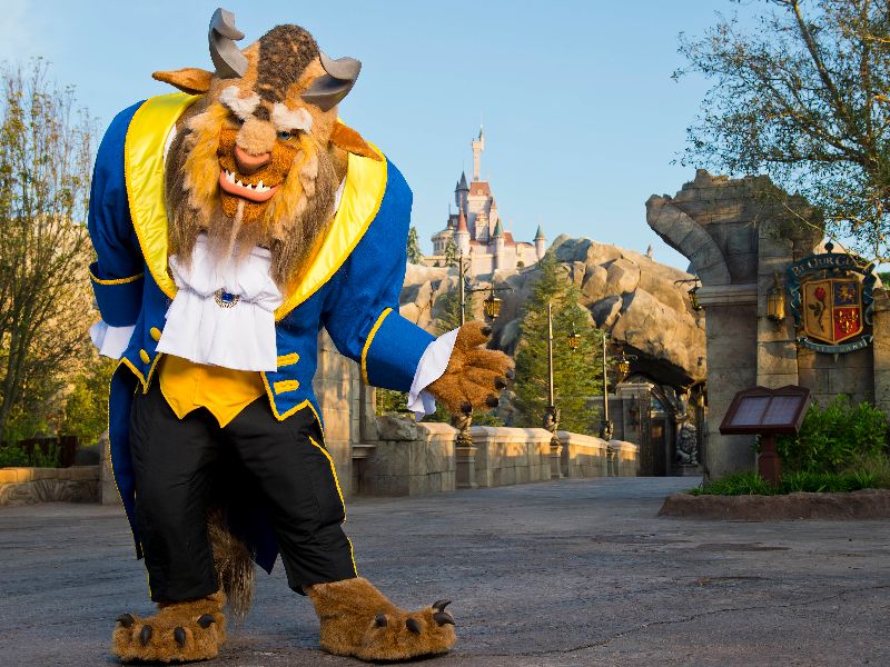 Foto de Viva as emoções de “A Bela e A Fera” no Walt Disney World