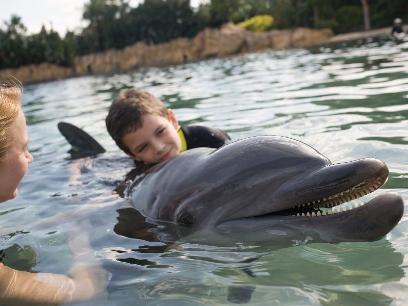 Foto de SeaWorld Parks & Entertainment traz nova opção de ingresso para brasileiros