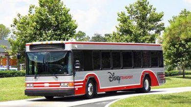 Foto de Reajuste no Express Bus Transportation