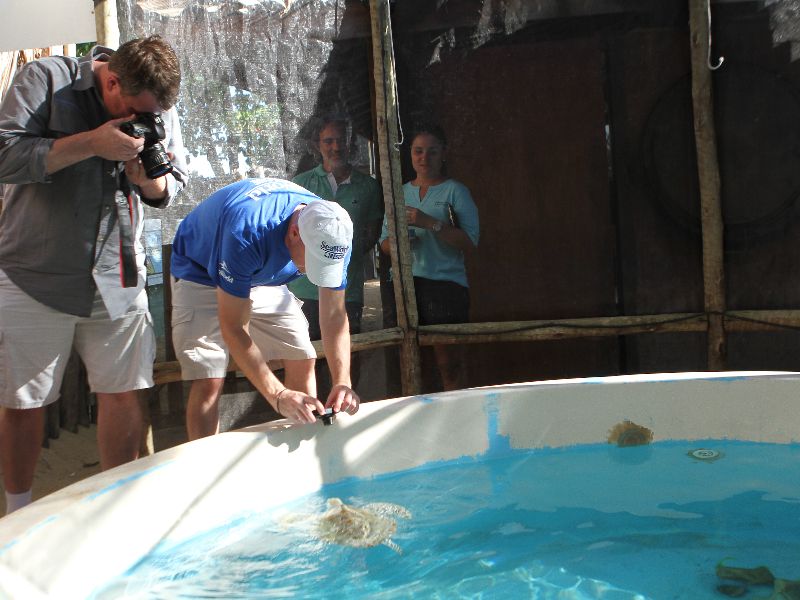 Foto de SeaWorld Parks & Entertainment lança no Brasil programa dedicado à preservação de espécies na vida selvagem