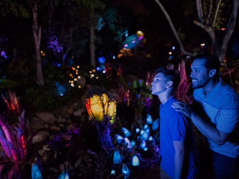 Foto de Disney fará transmissão ao vivo sobre Pandora no dia 24