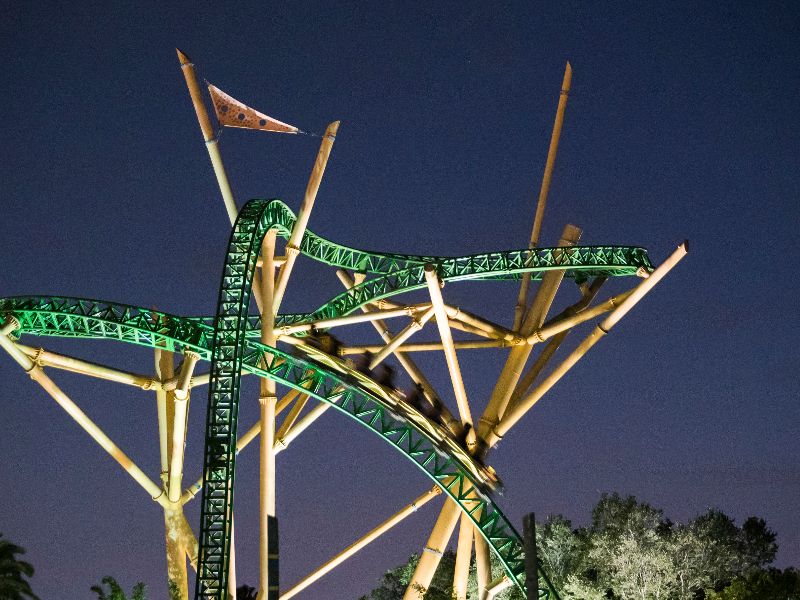 Cheetah Hunt