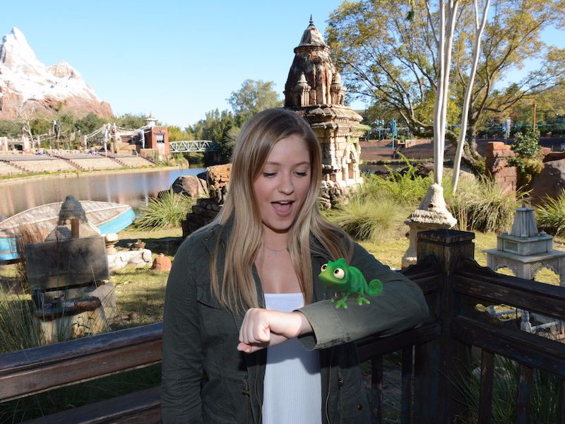Foto de Fotos mágicas no Animal Kingdom