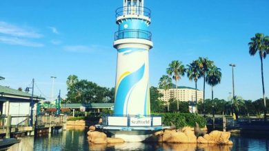 Foto de 14 itens proibidos no SeaWorld Orlando e no Busch Gardens Tampa