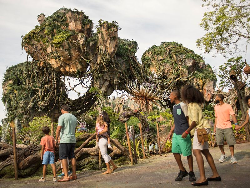 Quando visitar o Disney's Animal Kingdom? © disney