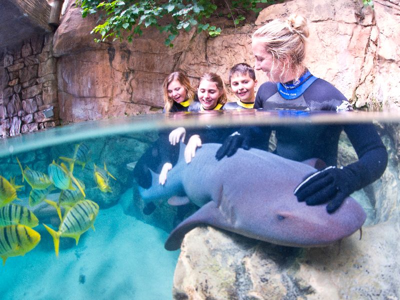 Discovery Cove