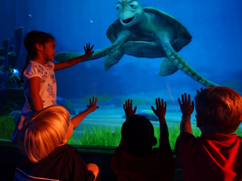 10 atrações do Epcot para famílias com crianças © disney