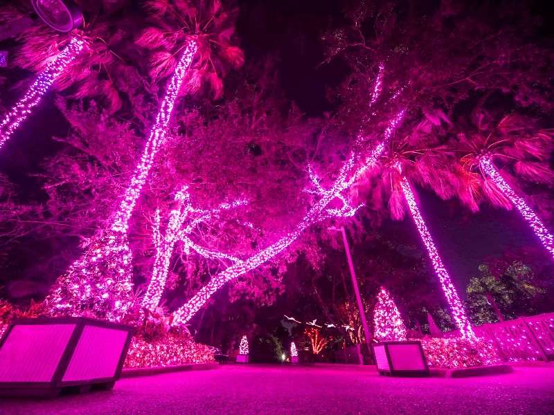Foto de Christmas Town do Busch Gardens Tampa começa neste fim de semana