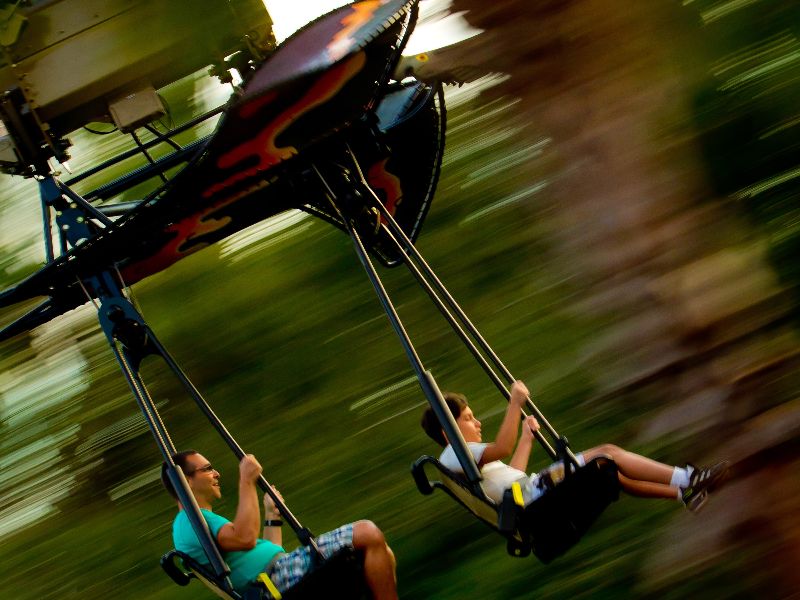 Pteranodon Flyers