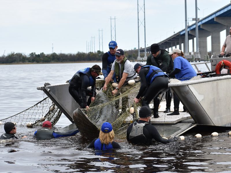 Foto de Nevasca rara no Sudeste dos EUA e recorde de temperaturas baixas: mais animais precisando de ajuda
