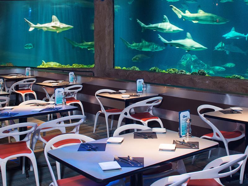 Foto de Sharks Underwater Grill – SeaWorld