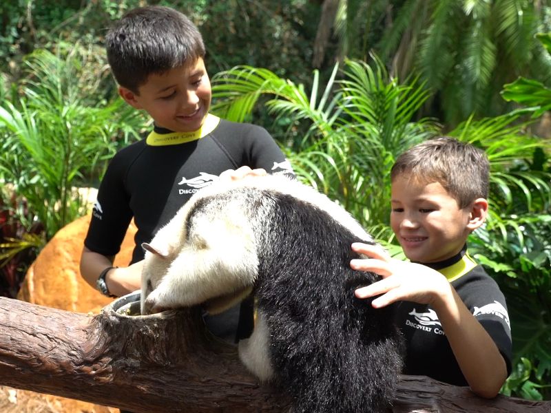 Foto de Discovery Cove tem novas experiências exclusivas