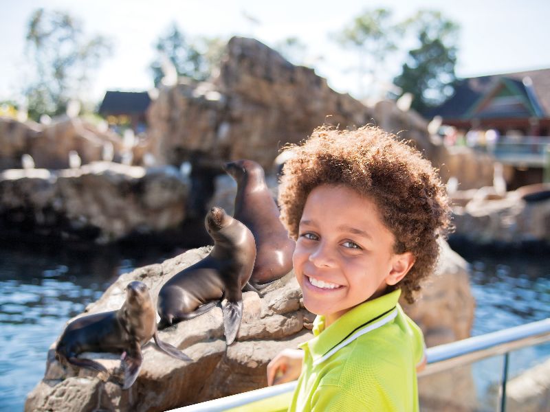 Foto de 9 dicas para curtir o SeaWorld com crianças