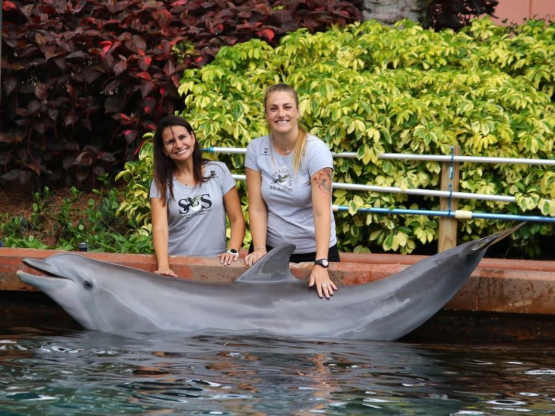 Foto de Equipe do Projeto Tamar (BR) faz visita técnica aos parques SeaWorld Parks & Entertainment na Flórida (EUA)
