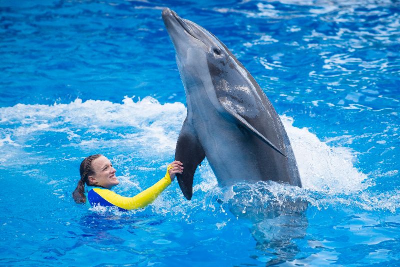 Foto de SeaWorld Parks & Entertainment lança novos ingressos para os parques da Flórida